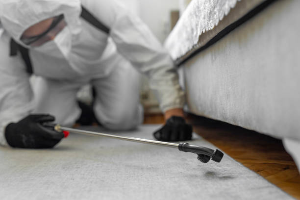 Professional Bed Bug Control technician working in Scotts Bluff County County, NE